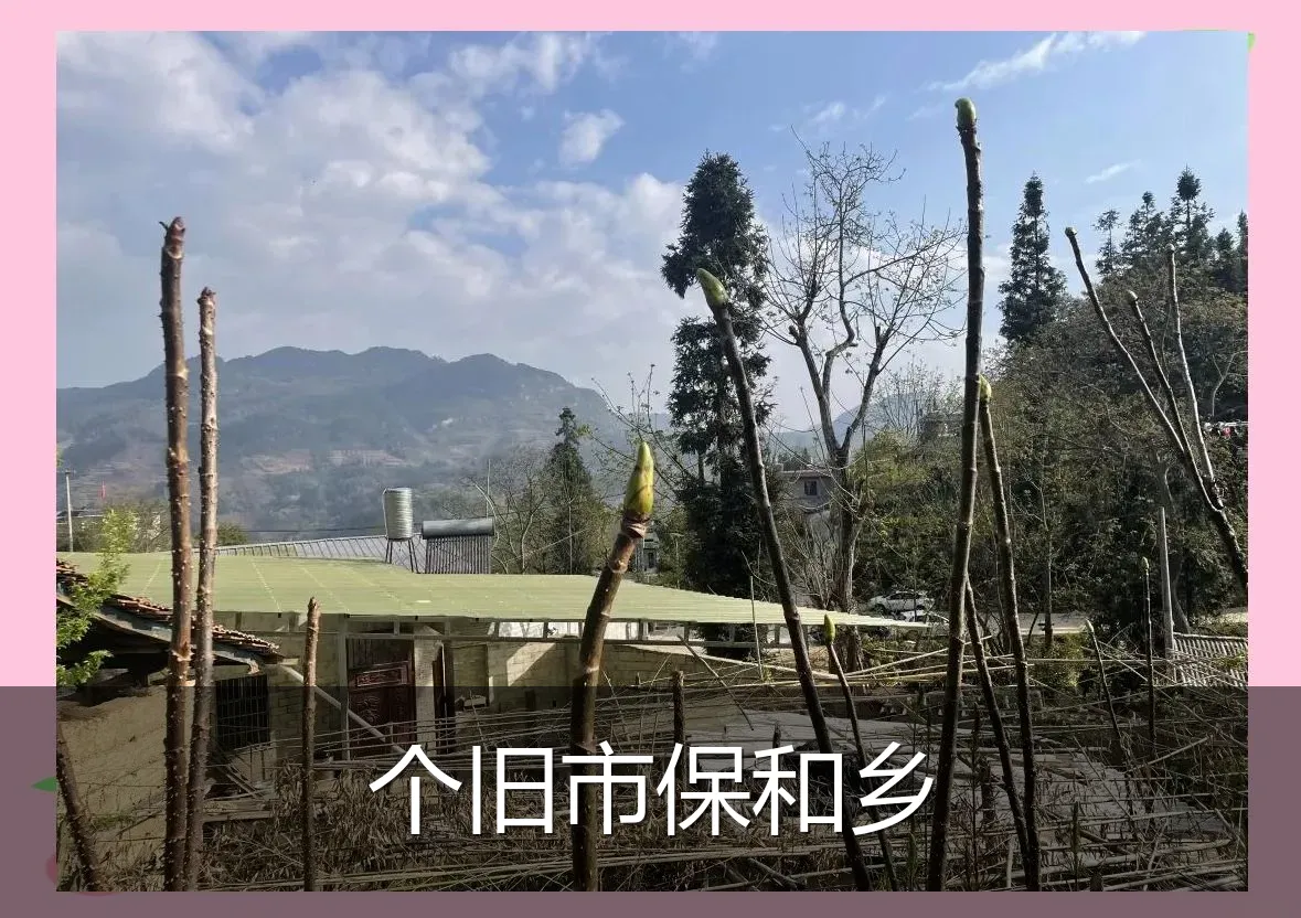 个旧市保和乡